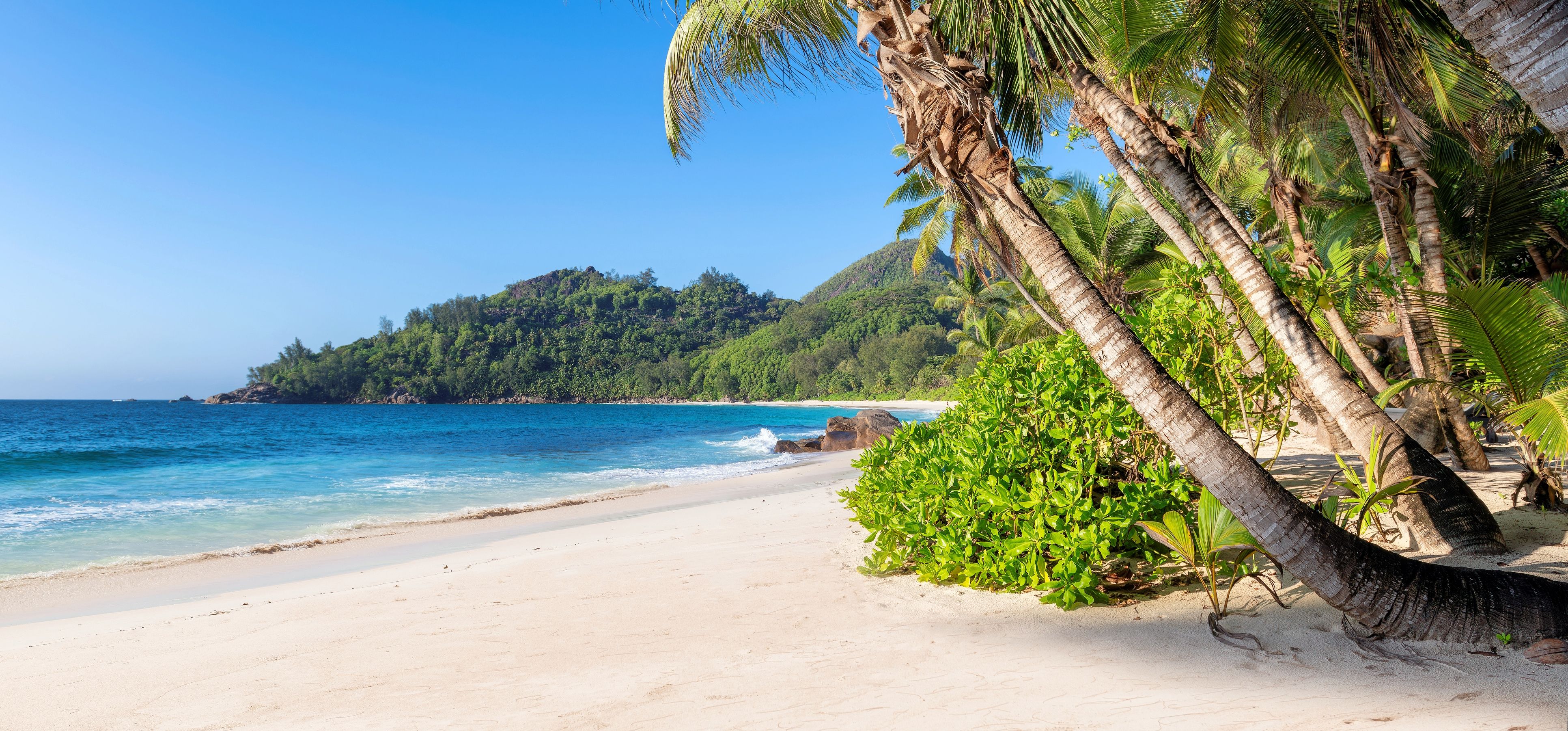 Last Minute-vakanties naar Jamaica 2026/2027 | weloveholidays
