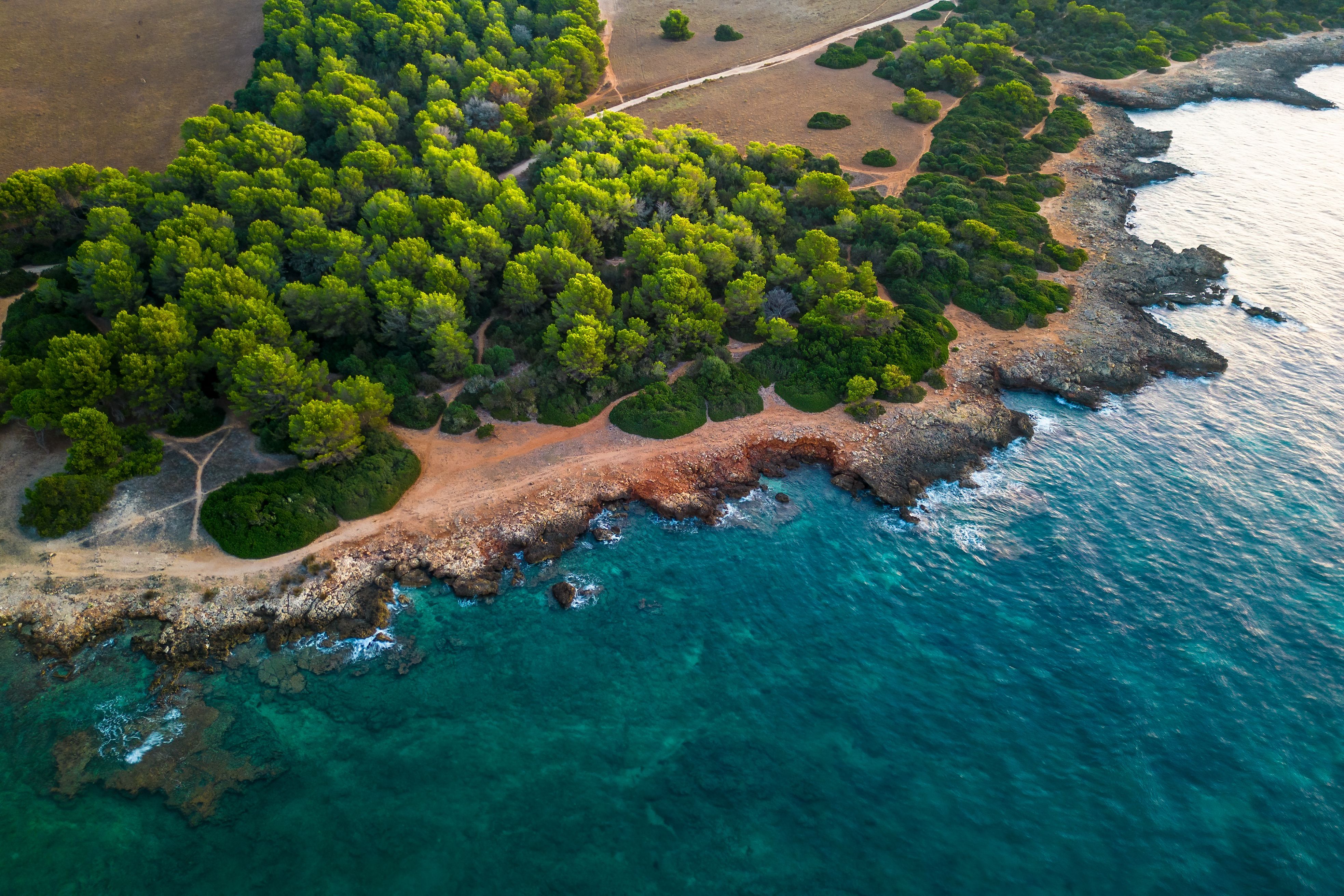 Sa Coma Holidays | ATOL Protected 2026/2027 | loveholidays