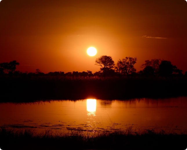 Picture of Okavango Delta in Botswana